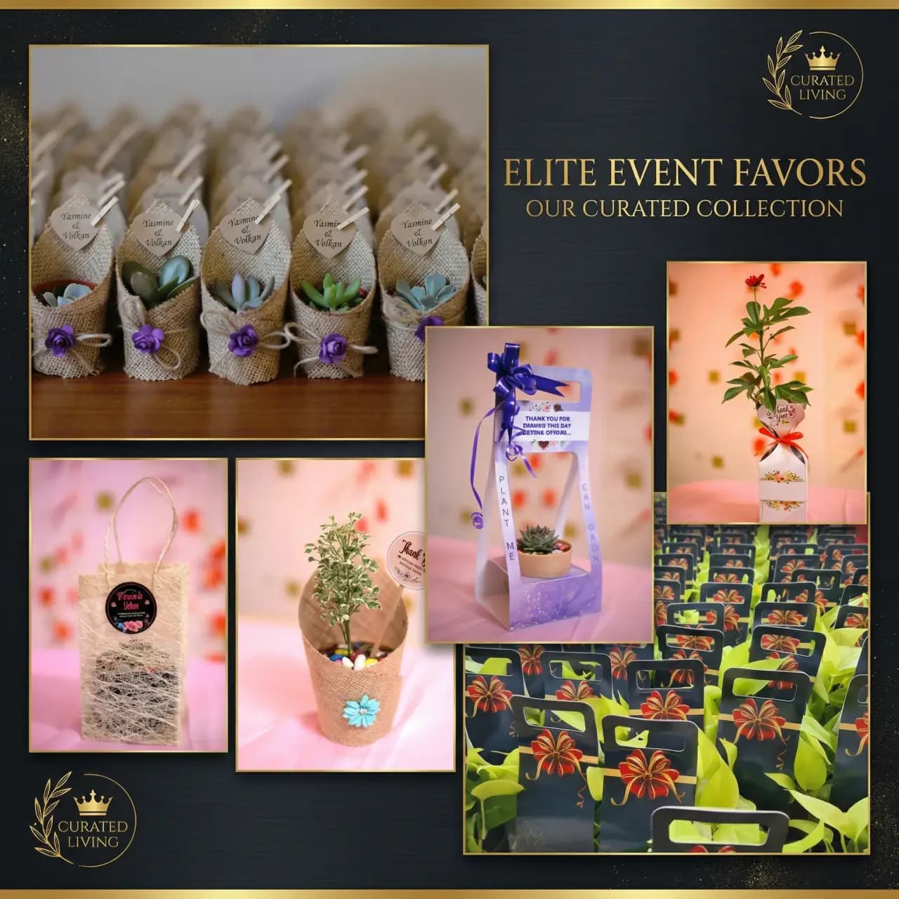 Gifts That Grow With Your Guests