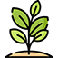 Diverse Plant Selection